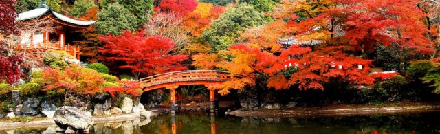 gay-honeymoon-destinations-kyoto