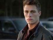 colton-haynes