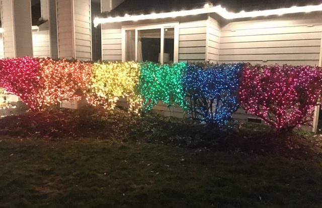 Christmas_Lights_Gay