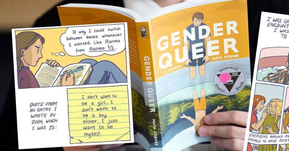 Clock Ticking On 'gender Queer' Censorship Decision