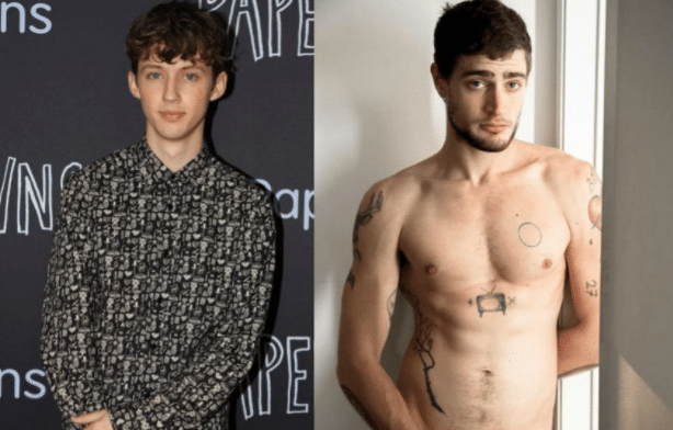 New Gay Porn - WATCH: Troye Sivan's sexy new music video features gay porn ...