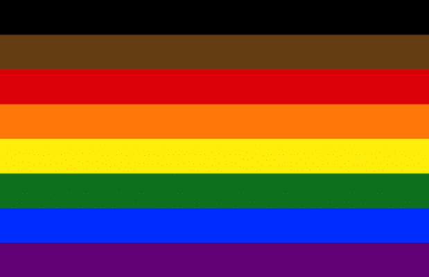 the old gay flag