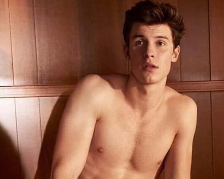 Shawn Mendes: I Had People Rubbing Oil On Me And Fixing My Underwear  [Video] | Meaws - Gay Site providing cool gay stories and articles